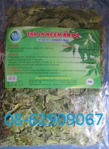 Lá Neem- Loại trà Chữa tiểu đường, tiêu viêm, nhức mỏi rất ưa dùng