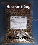 Tp. Hồ Chí Minh: Hoa sứ Trắng -Chữa Cao Huyết áp, chữa ho tốt CL1479547