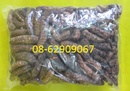 Tp. Hồ Chí Minh: Chuối Hột Rừng- Chữa tê thấp, tán sỏi tốt ,trị nhức mỏi, lợi tiểu RSCL1216888