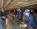 Quảng Ninh: Biến tần INVT - tiết kiệm năng lượng cho nhà máy gạch CL1481626