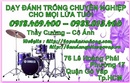 Tp. Hồ Chí Minh: Dạy đàn guitar . organ . piano , violin - trống. dạy đàn quận gò vấp CL1490974P10