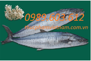 Tp. Hà Nội: Bán buôn cá hồi nhập khẩu từ Nauy CL1495484
