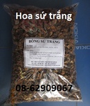 Tp. Hồ Chí Minh: Hoa Sứ TRẮNG- Chữa Cao huyết áp tốt, giá rẻ CL1497167