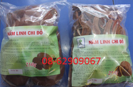 Nấm Linh Chi- Diều hóa huyết áp, Tăng đề kháng, ngừa ung thư, giảm cholesterol