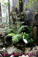 Cao Bằng: Làm mát sân thượng bằng cây xanh, vườn thẳng đứng ban công, tiểu cảnh nước CL1546850P7