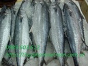 Tp. Hà Nội: Bán buôn cá tươi CL1509453