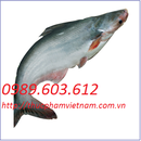 Tp. Hà Nội: Chuyên cung cấp cá basa CL1509453