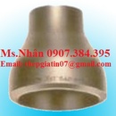 Tp. Hồ Chí Minh: côn thu đồng tâm hàn mạ kẽm thép đúc - phụ kiện ống thép hàn mạ kẽm CL1517986P10