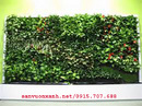 Tp. Hà Nội: Thi công sân vườn nhật bản, thiết kế sân vườn hiện đại, tiểu cảnh nhà phố CL1583250P9