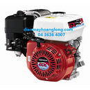 Tp. Hà Nội: ĐỘNG CƠ NỔ HONDA GX200TQAB2 giá rẻ, nhận đặt đơn hàng số lượng lớn CL1520591P1