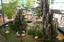 Hải Dương: Vườn cây giả, cảnh quan sân vườn sân thượng, ốp đá tranh tường, tiểu cảnh ban cô CL1532993P2
