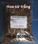 Tp. Hồ Chí Minh: Bán HOA SỨ TRẮNG-Sản phẩm dùng chữa cao huyết áp tốt CL1522489P9