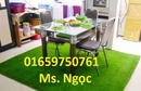 Tp. Hà Nội: thảm cỏ nhựa CL1516904