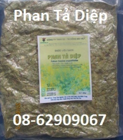 Phan Tả Diệp- Nhuận Tràng, chống táo bón rất tốt