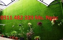 Tp. Hà Nội: bán cỏ nhân tạo giá rẻ tại hà nội CL1523855