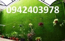 Tp. Hà Nội: Mua cỏ nhân tạo ở đâu CL1524999