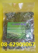 Tp. Hồ Chí Minh: Có trà Lá NEEM- Loại chữa bệnh tiểu đường, nhức mỏi, tiêu viêm ,giá rẻ CL1526350
