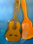 Tp. Hồ Chí Minh: Guitar Kodaira AST 30 Nhật CL1532770