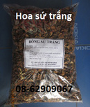 Tp. Hồ Chí Minh: Bán Sản phẩm Hoa SỨ Trắng- Giúp chữa cao huyết áp CL1531233