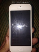 Tp. Hà Nội: Mình cần bán gấp iphone 5 trắng đẹp như mới còn bảo hành cửa hàng 12 tháng CL1534169