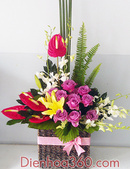 Tp. Hồ Chí Minh: Hoa tươi quận 1, hoa sinh nhật đẹp, cửa hàng hoa tươi, dịch vụ điện hoa, hoa dep CL1420662