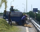 Tp. Hà Nội: Bán máy tuốt lúa 1200,2000 giá ưu đãi nhất cho bà con nông dân CL1538836