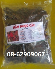 Nấm NGỌC CẨU, Loại nhất- bổ thận tráng dương, Tăng sinh lý cho quý ông