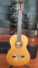 Tp. Hồ Chí Minh: guitar Matsouka CL1540672