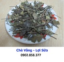 Tp. Hồ Chí Minh: Công dụng của Chè Vằng CL1548958P10