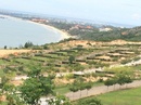 Bình Thuận: Đất nền biệt thự nghỉ dưỡng biển cao cấp - giá chỉ 7tr/ m RSCL1269409