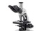[1] kính hiển vi 3 mắt ( có camera) , 86. 041, (Euromex – Hà Lan)