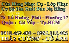 Dạy Đàn Violin tphcm - lớp violin gò vấp