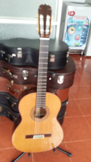 Tp. Hồ Chí Minh: Guitar Matsouka M 85 CL1553822