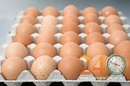 Tp. Hồ Chí Minh: Cung Cấp Trứng Gà, Trứng Gia Cầm CL1557913