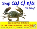 Tp. Hồ Chí Minh: Cung Cấp Sỉ Lẻ Cua Cà Mau CL1557913