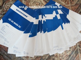 Nhà In Thanh Xuân in túi hồ sơ, 0967 254 651