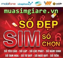 Sim số đẹp giá rẻ tại Hà Nội - Tp. Hcm và các tỉnh