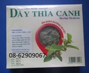 Tp. Hồ Chí Minh: Dây Thìa Canh- dùng Chữa bệnh tiểu đường tốt, giá rẻ CL1562364