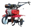 Tp. Hà Nội: Bán máy xới đất hoa màu động cơ cực khỏe, giá lại rẻ CL1564629