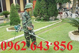 Tìm địa chỉ bán máy cắt cỏ Honda GX35 giá cực rẻ tại Hà Nội