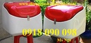Tp. Hồ Chí Minh: thùng giao hàng giá rẻ, thùng ship hàng nhanh, thùng chở hàng sau xe máy CL1568889