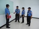 Tp. Cần Thơ: tuyển gấp nam nữ bảo vệ CL1570916
