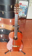 Tp. Hồ Chí Minh: Guitar Yamaha Grand Concert GD 10C CL1574363