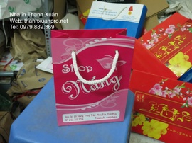 Nhà In Thanh Xuân chuyên in túi giấy uy tín, chất lượng, độc và rẻ, 0967254651