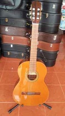 Tp. Hồ Chí Minh: Guitar Raimundo 104 Tây Ban Nha CL1672988P21