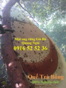 Tp. Hồ Chí Minh: Mật ong rừng nguyên chất Trà Bồng CL1576731