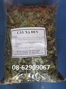 Tp. Hồ Chí Minh: Cây XẠ ĐEN-Sản phẩm phòng Ngừa ung thư, ổn huyết áp, an thần CL1577362P4