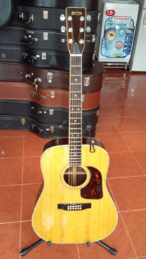 Martin acoustic