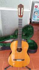 Tp. Hồ Chí Minh: Guitar Asturias 10F CL1578311