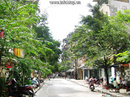 Tp. Hà Nội: Cho thuê nhà phố Nguyễn Khắc Nhu- Ba Đình ,DT 45x2 tầng, MT 4m CL1578269